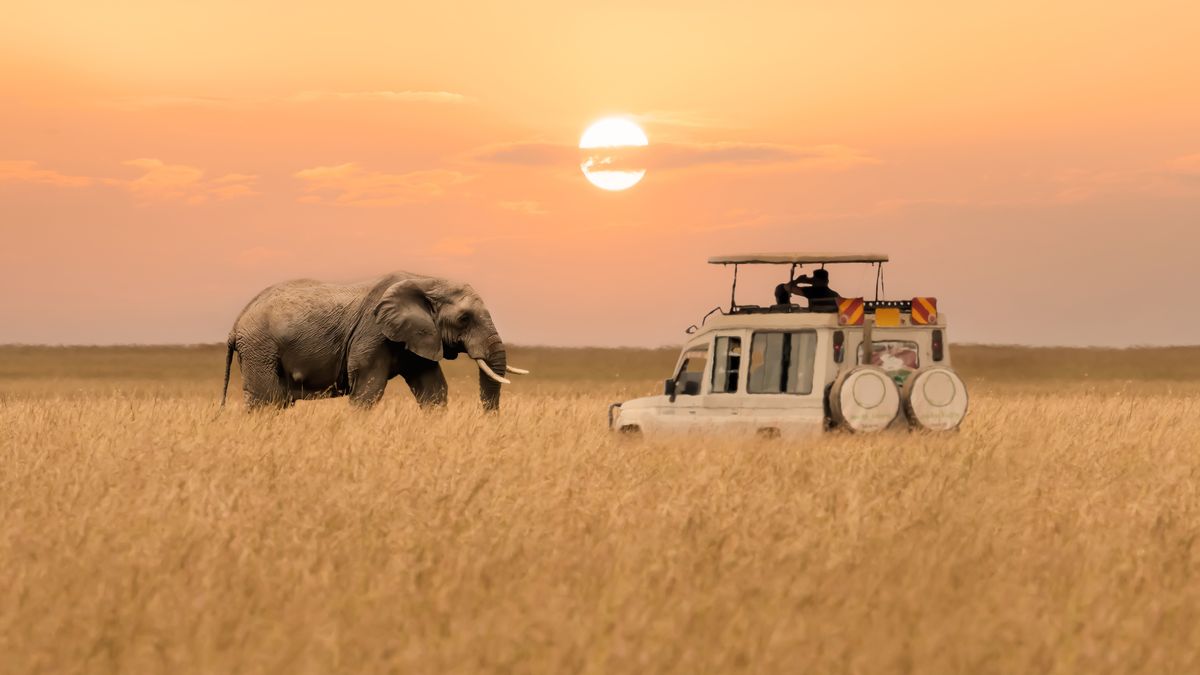 Vacaciones en África: te invitamos a descubrir este viaje imperdible entre Kenia y Tanzania.