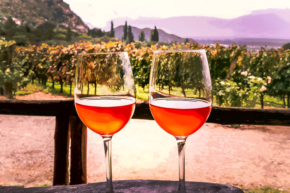 Salta: Cafayate es un sitio clásico de la provincia especialmente por sus viñedos que lo han convertido en una de las elecciones de ChatGPT.