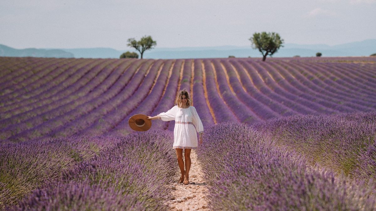 Destefanis Travel ofrece una promoción exclusiva para agentes de viajes: US$ 100 por cada reserva doble realizada en esta grupal.