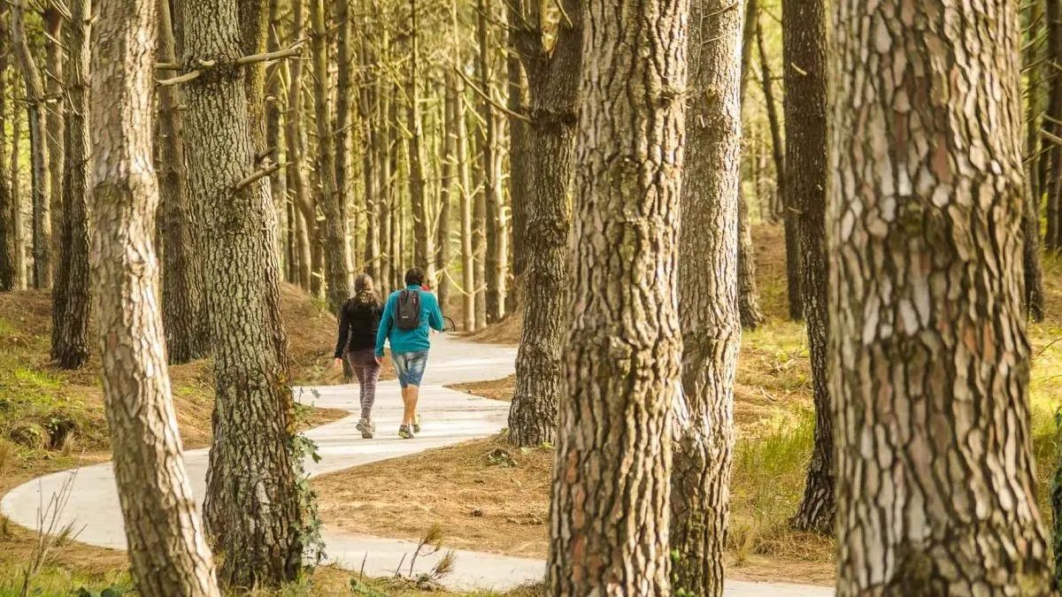 Vacaciones 2026: Caril&oacute; lidera el ranking de los destinos m&aacute;s caros del pa&iacute;s, con un costo estimado de $10,6 millones.