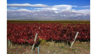 Tango por los Caminos del Vino