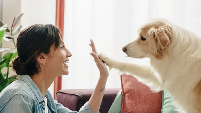 Vueling transportó a más de 57.000 mascotas en sus vuelos en lo que va de 2025.
