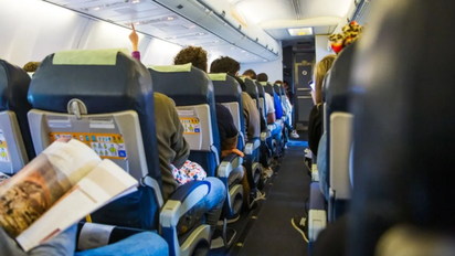 Vuelos low cost: ¿cuál es el servicio a bordo de Flybondi?