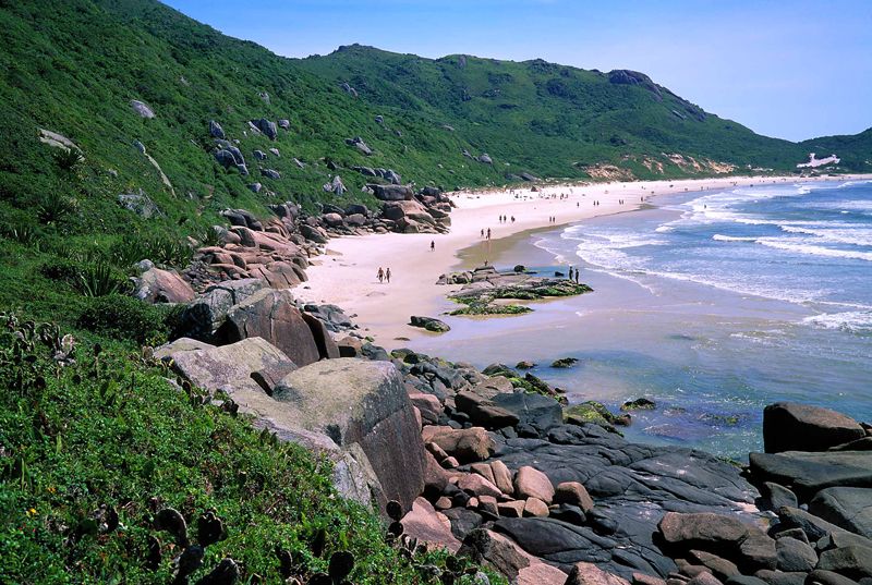 Abundante vegetación y zonas rústicas también atraen a los visitantes.