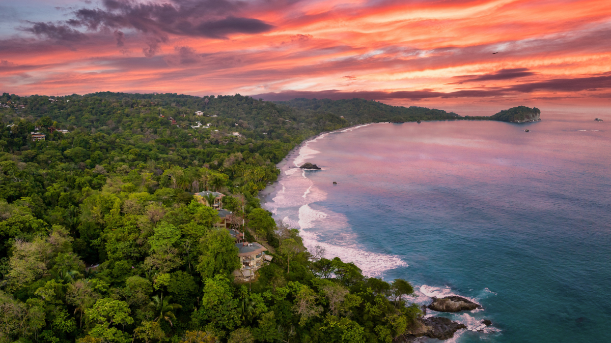 Explora los senderos, playas y biodiversidad del Parque Nacional Manuel Antonio.