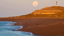 Puerto Pirámides es un destino con muchas actividades que invitan a tomar contacto con una naturaleza única. Te contamos cuáles podés hacer esta Semana Santa 2026.&nbsp;