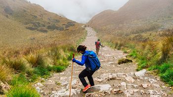 Camino del Inca: Gobierno otorgará bono a guías turísticos