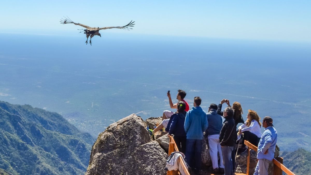 La Quebrada del Cóndor ofrece una de las experiencias de avistaje más sorprendentes de La Rioja.