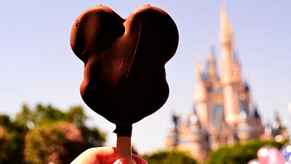 Los parques de Walt Disney World Resort presentan divertidos platos temáticos pero, algunos visitantes, prefieren ingresar sus alimentos.