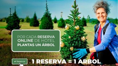 A través de Tatajuba Travel Experience, los agentes de viajes también pueden aportar a la sostenibilidad.