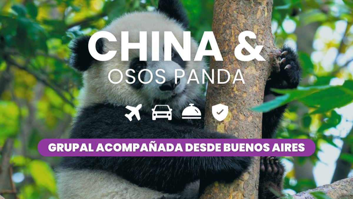 Piamonte: múltiples opciones clásicas y novedosas para 2026.