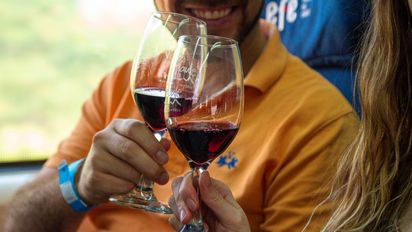 El excelente panorama para los amantes del vino el es Tren Sabores del Maule.&nbsp;