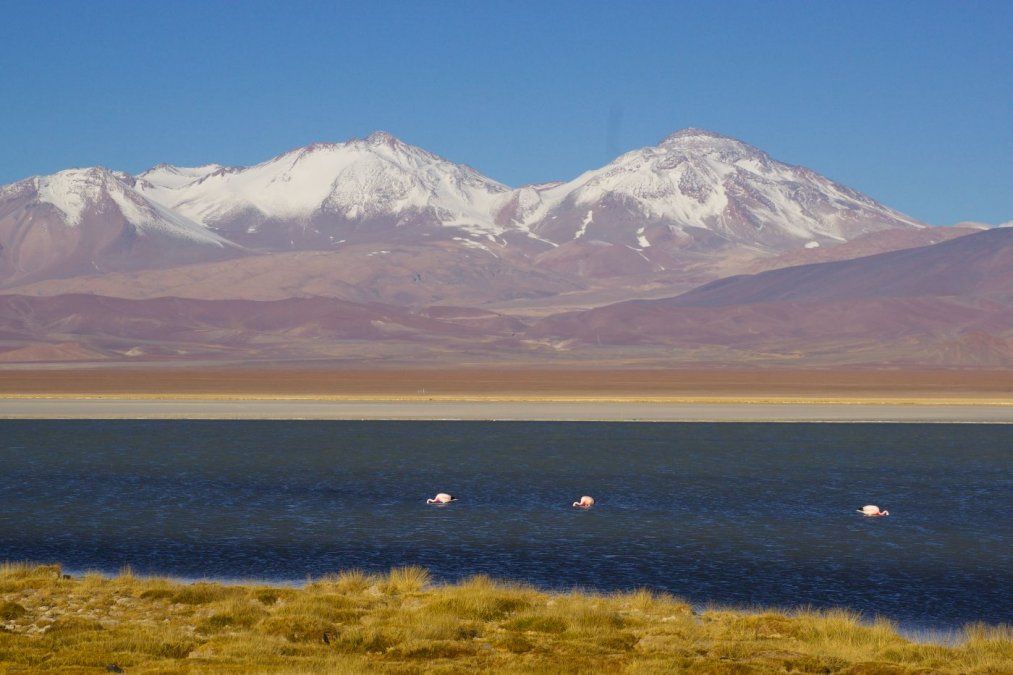 El volcán Ojos del Salado, ubicado en el Parque Nacional Nevado Tres Cruces es una ruta ofrecida por tour operadores de la Región de Atacama. - Ladevi Medios y Soluciones El volcán Ojos del Salado, ubicado en el Parque Nacional Nevado Tres Cruces es una ruta ofrecida por tour operadores de la Región de Atacama.