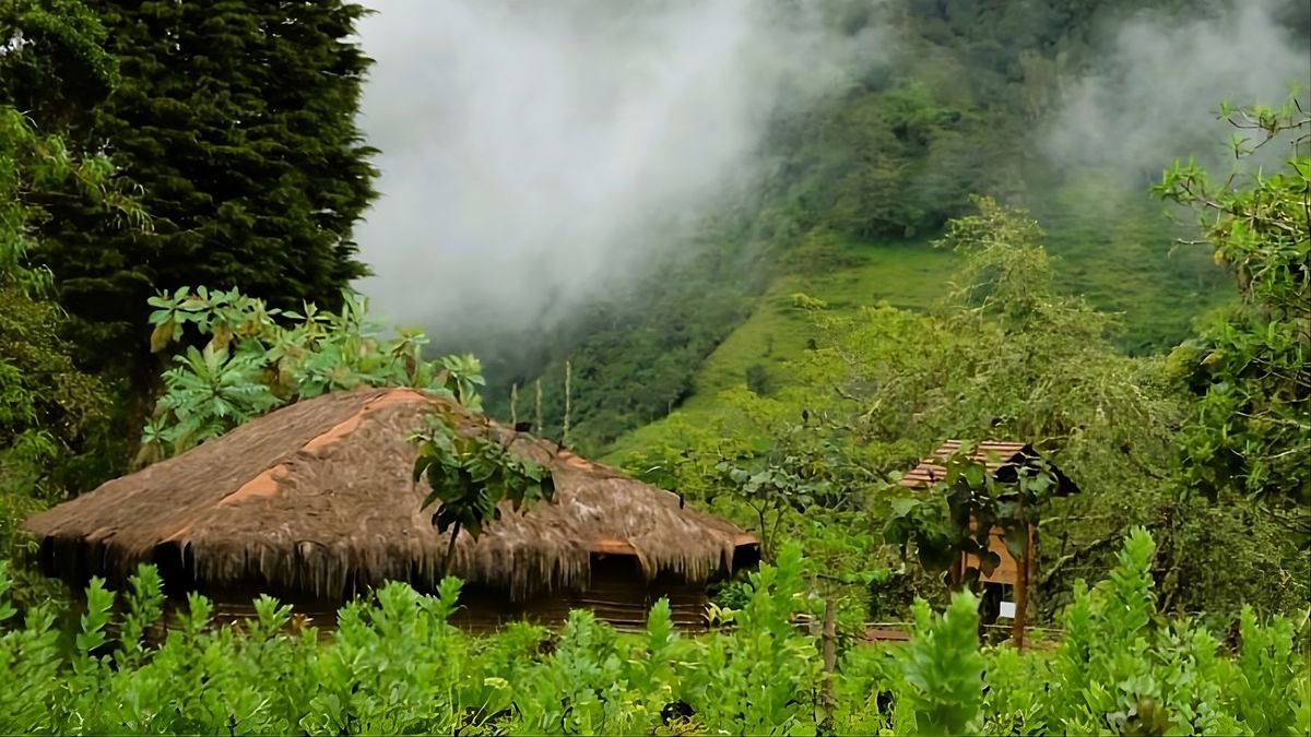 Reconocen a Yunguilla por su modelo de turismo sostenible.