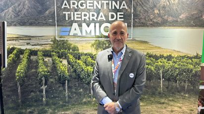 Guillermo Monti, gerente general de Amichi.