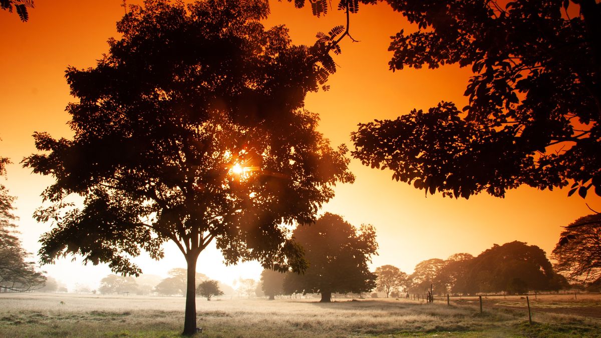 Córdoba como Destino Invitado en la Vitrina Anato 2026 mostrará por qué es tierra de cultura, naturaleza y tradición turística.