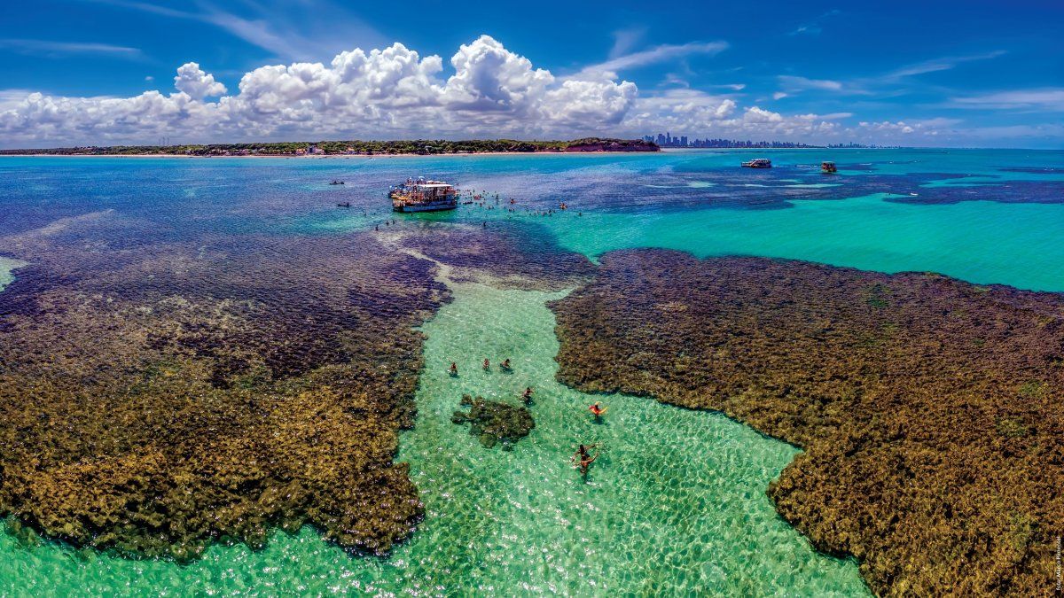 Brasil: desde João Pessoa se puede hacer la excursión a las piscinas naturales de Picãozinho y Seixas.