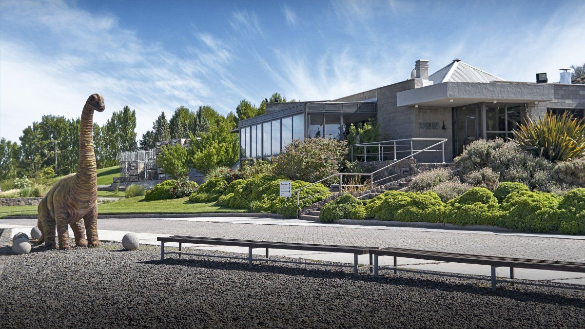 Vacaciones de invierno 2025 en Patagonia: Neuquén es la provincia con la mayor riqueza paleontológica del país.