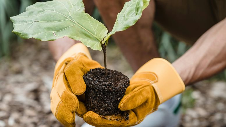 Según Booking.com los viajeros argentinos eligen cada vez más opciones de turismo sostenible.