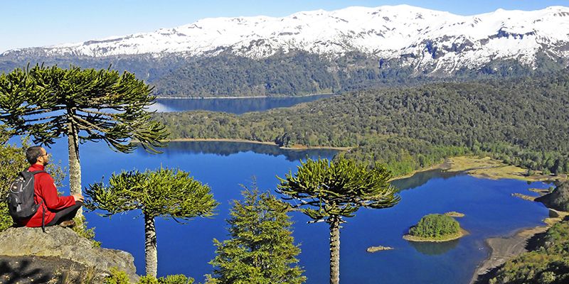 Parque Nacional Conguillío, parte de la ruta de la Araucanía Andina. Parque Nacional Conguillío, parte de la ruta de la Araucanía Andina.