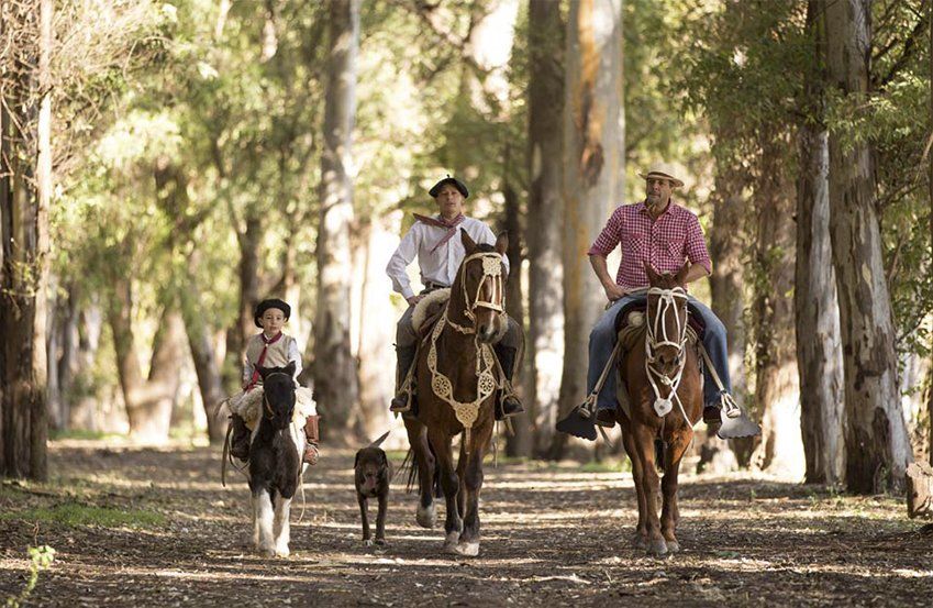La ciudad de Embalse es un lugar ideal para visitar en familia este verano 2024 y hacer cabalgatas.