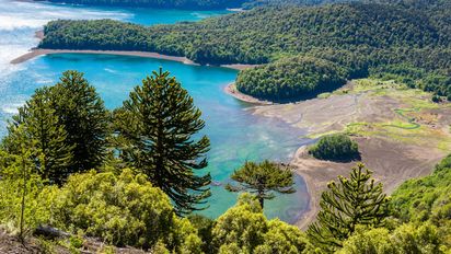 El Comité de Ministros declaró tres nuevas ZOIT, entre ellas la zona de Vilcún.&nbsp;