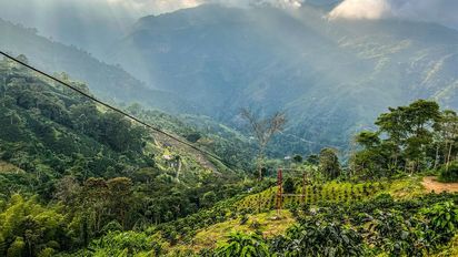 Colombia&nbsp;en un destino elegido por turistas que desean conocer su diversidad cultural durante las vacaciones de mitad de año. &nbsp;