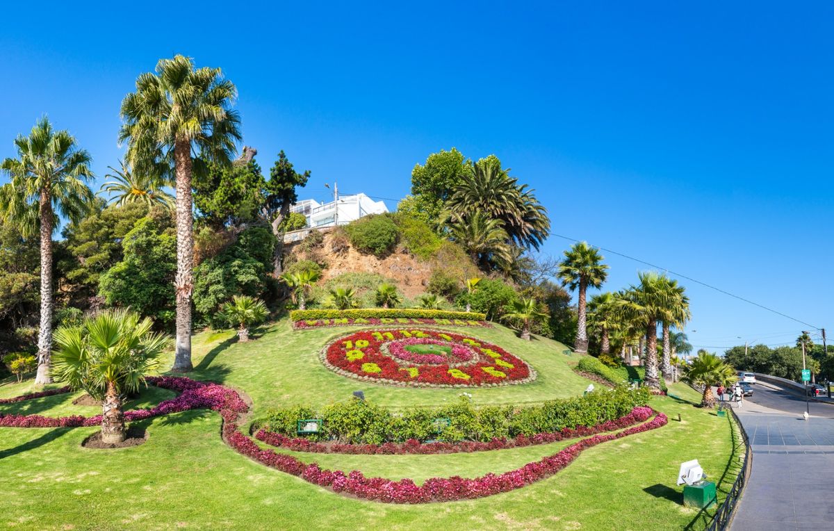 Viña del Mar fue perjudicado por el incendio de febrero.  