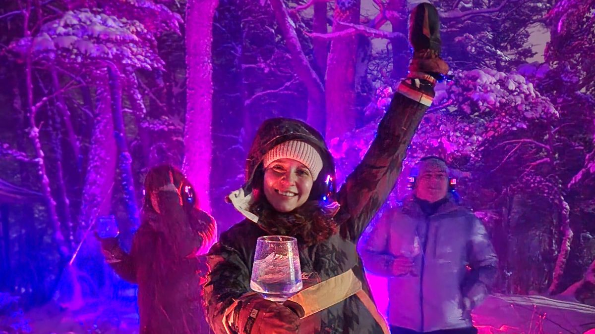 Escapadas a la Patagonia: el Bosque Sonoro te espera en Ushuaia para vivir una experiencia novedosa.