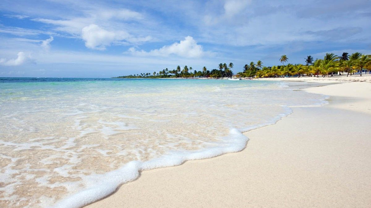 La Isla Saona es ideal para bucear y conocer la naturaleza de República Dominicana. 