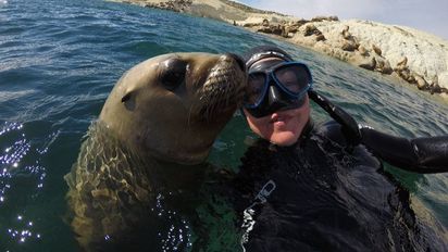 Puerto Madryn tiene una importante cantidad de ofertas para disfrutar del PreViaje 4 de la mano de excursiones imperdibles.