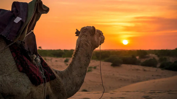 Senegal es uno de los países de África que te enamora desde el primer momento.
