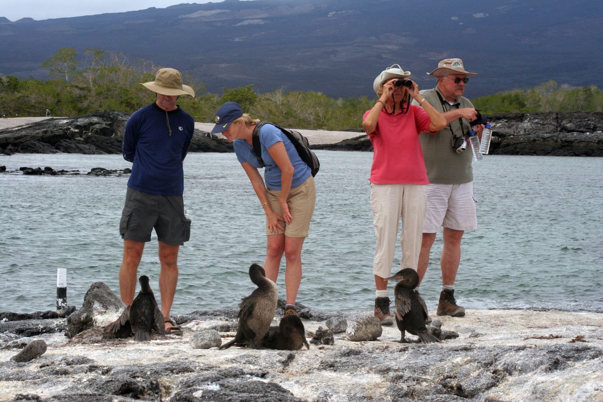El turismo en Galápagos evidencia una recuperación total debido a las cifras registradas en la actualidad. - Ladevi Medios y Soluciones El turismo en Galápagos evidencia una recuperación total debido a las cifras registradas en la actualidad.