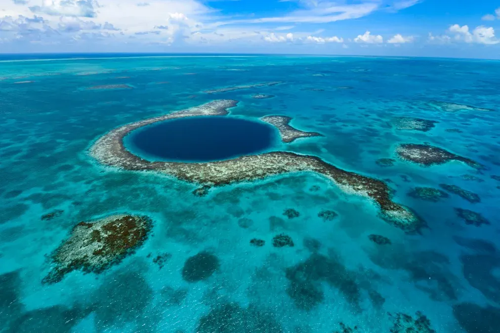 El sorprendente El sorprendente