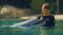 La interacción con delfines es una de las grandes experiencias que ofrece Discovery Cove.