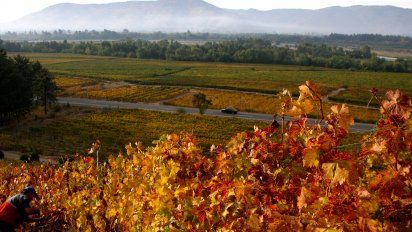 Ruta del Vino del Maule suma nuevas viñas