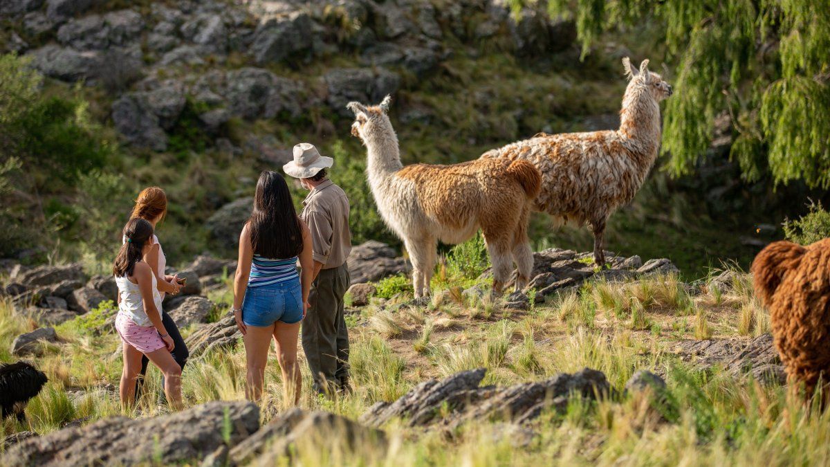 Escapadas: La Carolina es uno de los rincones m&aacute;s encantadores para visitar en San Luis durante una escapada por la provincia.&nbsp;