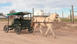 altText(Colonia Menonita de La Pampa, el increíble viaje a otro mundo sin salir de Argentina)}
