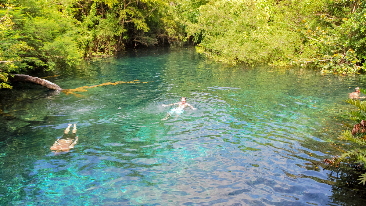 La Reserva Ecológica Ojos Indígenas resguarda bosques tropicales, fauna nativa y doce ojos de agua.