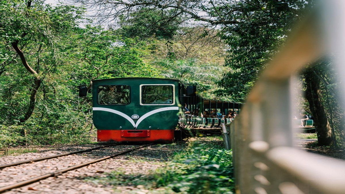 En Iguazú está el Tren Ecológico de la Selva que lleva a los turistas a adentrarse en la naturaleza del Parque Nacional Iguazú.