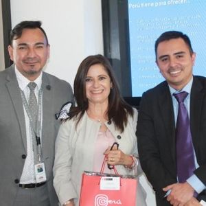- Ladevi Medios y Soluciones