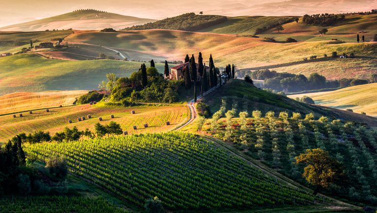 Toscana, Italia, una de las zonas de mejor producción de vino en el mundo y un gran destino para hacer enoturismo.