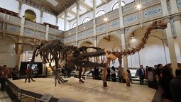 Rutas culturales, museos y experiencias educativas marcan la agenda familiar durante las vacaciones escolares de verano en Chile.