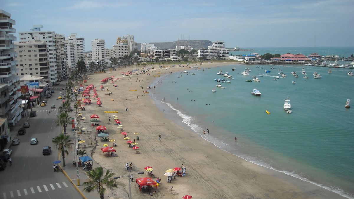 Destino de la Costa se posicionó como el preferido en Navidad.&nbsp;