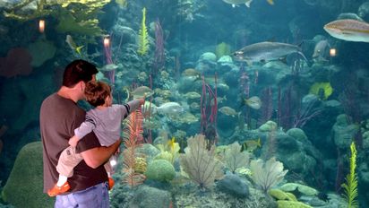 Tampa Bay, experiencias en el 