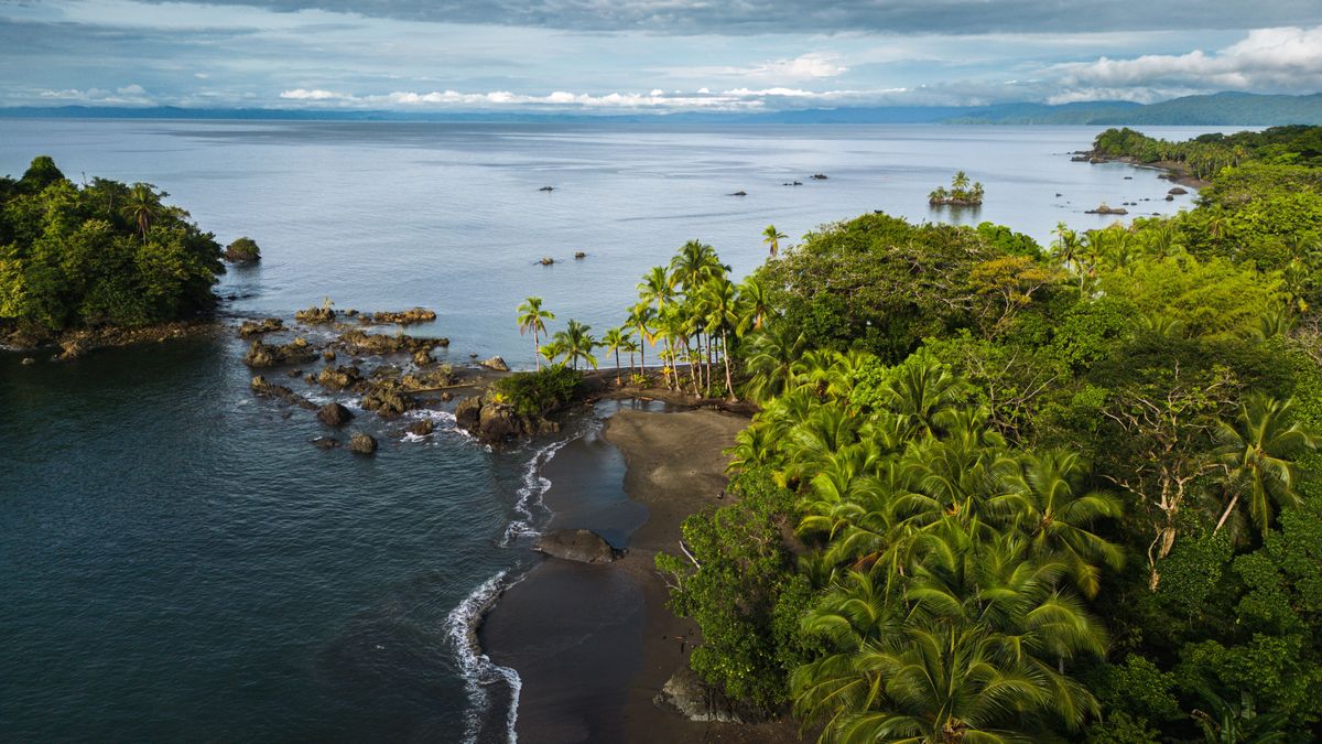 Cuánto tiempo hay entre Bahía Solano y Nuquí?