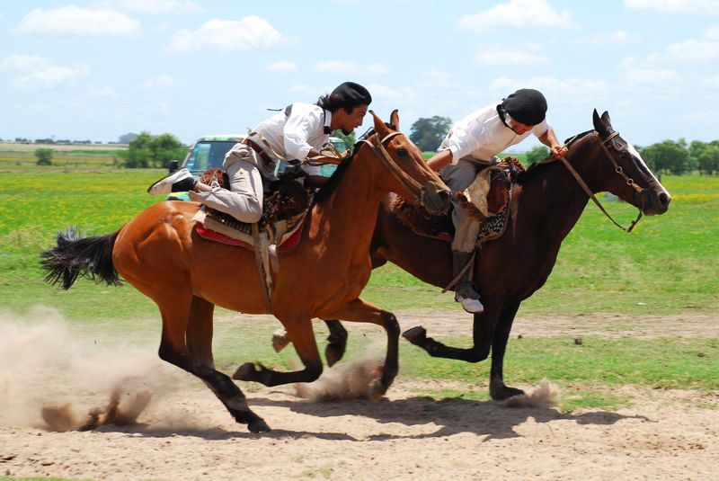 La estancia Don Silvano brinda la opción de pasar el día o una estadía, pero siempre con la posibilidad de participar de actividades en contacto con la naturaleza.