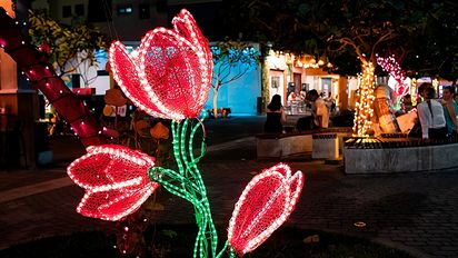 Guayaquil: activación de vida nocturna en Calle Panamá