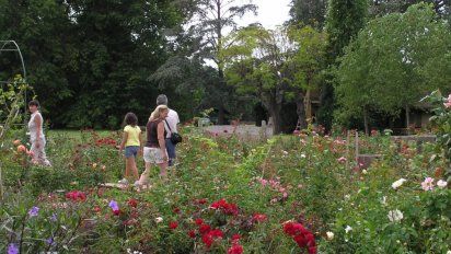 Escapadas en Buenos Aires: San Pedro es uno de los destinos preferidos para un fin de semana cerca de la ciudad.