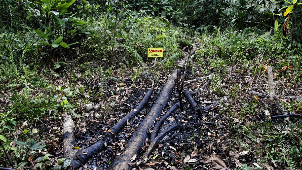 En la Amazonía ya se organizan toxitours para observar los daños ambientales dejados por las petroleras. - Ladevi Medios y Soluciones En la Amazonía ya se organizan toxitours para observar los daños ambientales dejados por las petroleras.